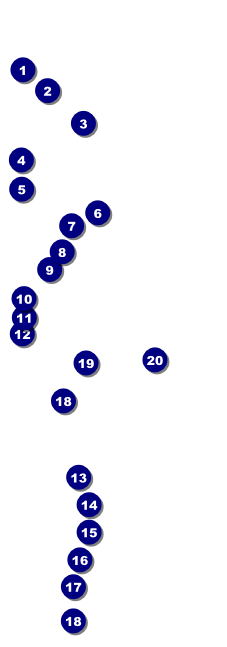 Soccer Field Raffle Ticket Front Field Markers