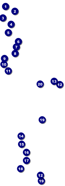 Your Image Raffle Ticket 001 Yellow Front Field Markers