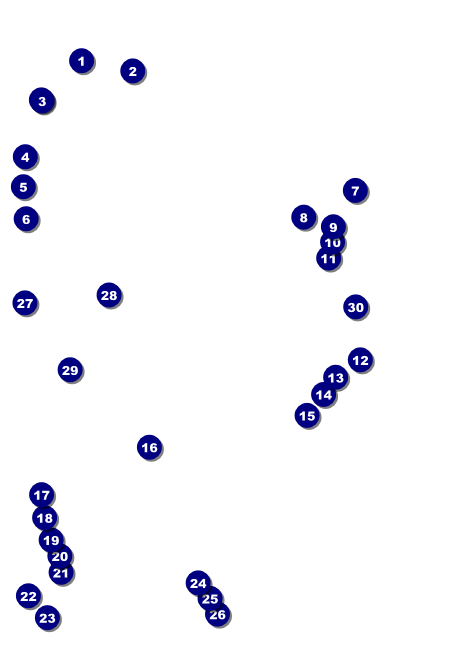 Roller Derby Jammer Postcard Front Field Markers