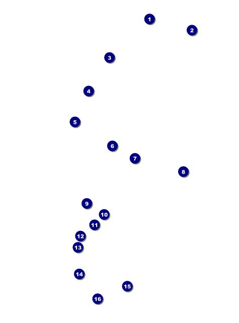All Purpose Corners Black and White Flyer Front Field Markers