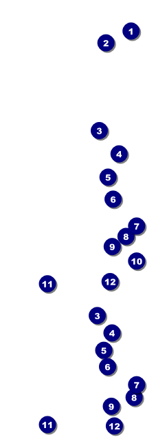 All Purpose Skyline Black and White  Event Ticket Front Field Markers