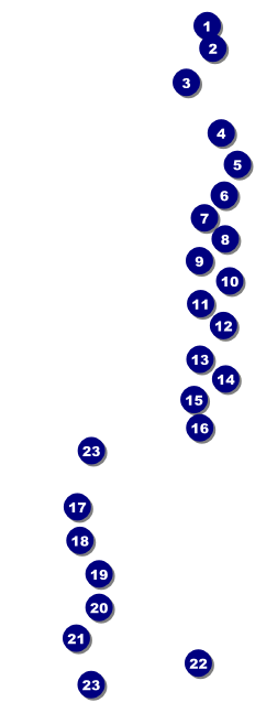 Ballet Raffle Ticket with stub Front Field Markers