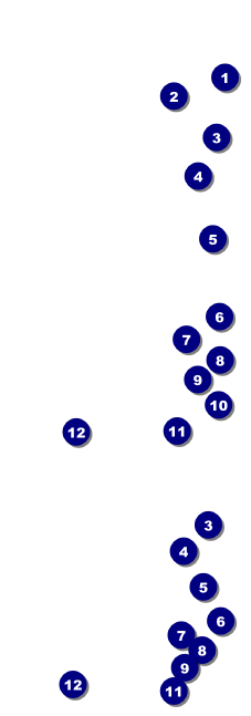 All Purpose Triangles 2 Black and White Event Ticket Front Field Markers