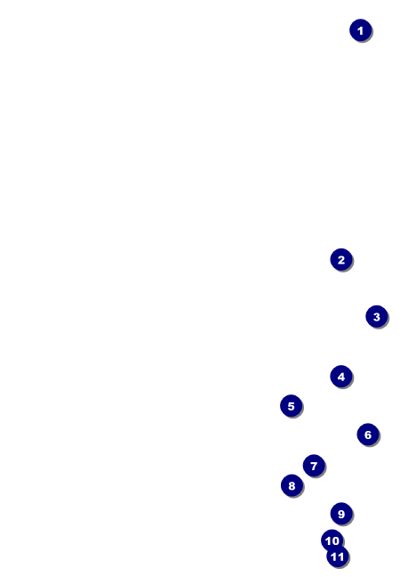 Swim Meet Postcard Front Field Markers