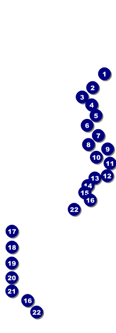 Graduation Diploma Raffle Ticket Front Field Markers