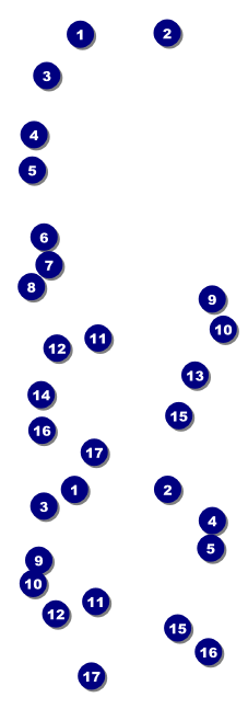 Bingo Bonanza Extravaganza Event Ticket Front Field Markers