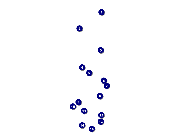 Spring Festival 2 Flyer Front Field Markers