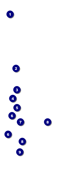 Curling QR Event Ticket Front Field Markers