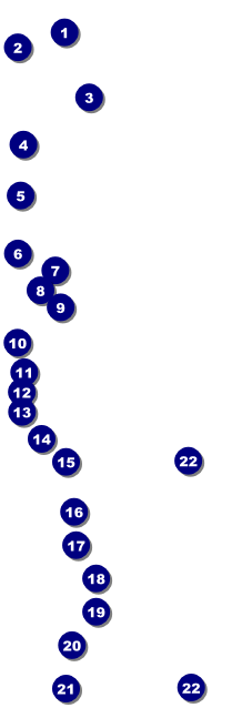 All Purpose Geometric Raffle Ticket Front Field Markers