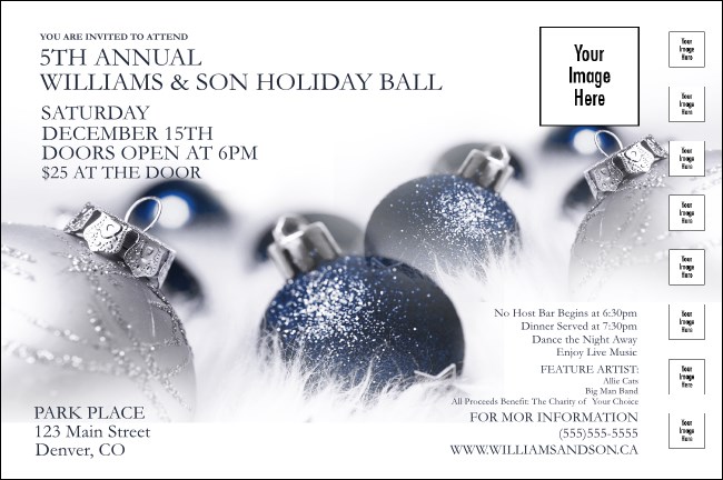 Christmas Ornament Poster Product Front