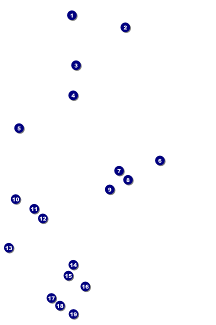 Halloween Witch Poster Front Field Markers